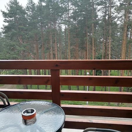 Apartman Nele Zlatibor Zewnętrze zdjęcie