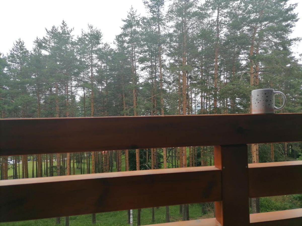Apartman Nele Zlatibor Zewnętrze zdjęcie